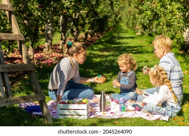 Family Picnic In An Orchard And Apple Picking