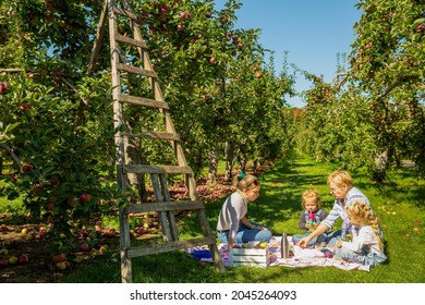 Family Picnic In An Orchard And Apple Picking