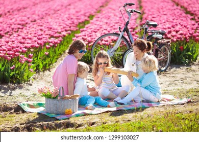 Family Picnic At Tulip Flowers Fields In Holland. Young Mother And Children Eating Lunch In Blooming Tulips Flower Field. Mom And Kids Travel By Bike. Bicycle Trip In The Netherlands. Spring Vacation.