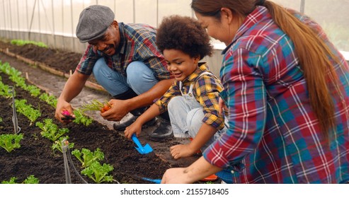 family planting garden together in the spring in nursery. Family planting tree and flowers in a nursery at backyard. - Powered by Shutterstock