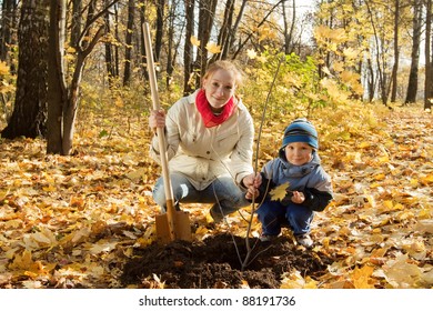 family planting tree with  spade outdoor in autumn - Powered by Shutterstock