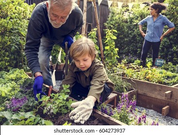 Family planting vegetable from backyard garden - Shutterstock ID 604273937