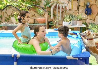 Family Playing And Laughing Happily As They Play In A Backyard Swimming Pool. Eager Dog Wants To Jump Into Pool.