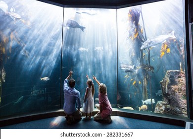 Family Pointing A Fish In The Tank