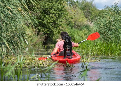 Family In A Red Kayak, Rafting On The River - Dog In A Kayak