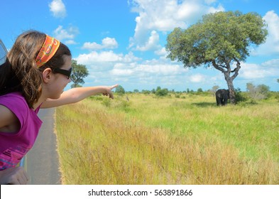 Family Safari Vacation In Africa, Child In Car Looking At Elephant In Savannah, Kruger National Park
