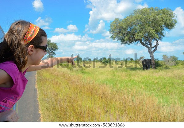 Family safari vacation\
in Africa, child in car looking at elephant in savannah, Kruger\
national park\
