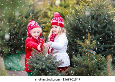 Family Selecting Christmas Tree. Kids Choosing Freshly Cut Norway Xmas Tree At Outdoor Lot. Children Buying Gifts At Winter Fair. Boy And Girl Shopping For Christmas Decoration At Market. Holiday Time