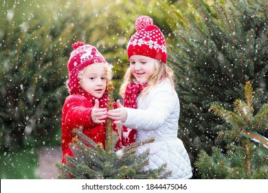 Family Selecting Christmas Tree. Kids Choosing Freshly Cut Norway Xmas Tree At Outdoor Lot. Children Buying Gifts At Winter Fair. Boy And Girl Shopping For Christmas Decoration At Market. Holiday Time