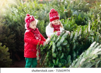 Family Selecting Christmas Tree. Kids Choosing Freshly Cut Norway Xmas Tree At Outdoor Lot. Children Buying Gifts At Winter Fair. Boy And Girl Shopping For Christmas Decoration At Market. Holiday Time