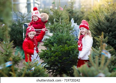 Family Selecting Christmas Tree. Kids Choosing Freshly Cut Norway Xmas Tree At Outdoor Lot Children Buying Gifts At Winter Fair. Boy And Girl Shopping For Christmas Decoration At Market. Holiday Time.