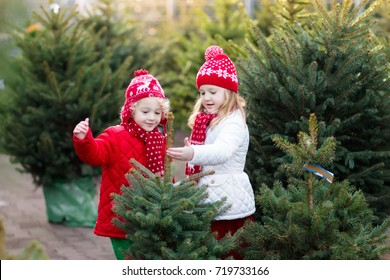 Family Selecting Christmas Tree. Kids Choosing Freshly Cut Norway Xmas Tree At Outdoor Lot Children Buying Gifts At Winter Fair. Boy And Girl Shopping For Christmas Decoration At Market. Holiday Time