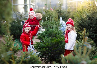 Family Selecting Christmas Tree. Kids Choosing Freshly Cut Norway Xmas Tree At Outdoor Lot Children Buying Gifts At Winter Fair. Boy And Girl Shopping For Christmas Decoration At Market. Holiday Time