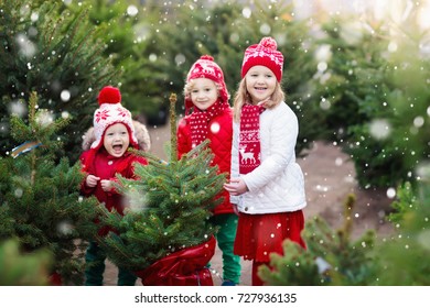 Family Selecting Christmas Tree. Kids Choosing Freshly Cut Norway Xmas Tree At Outdoor Lot. Children Buying Gifts At Winter Fair. Boy And Girl Shopping For Christmas Decoration At Market. Holiday Time