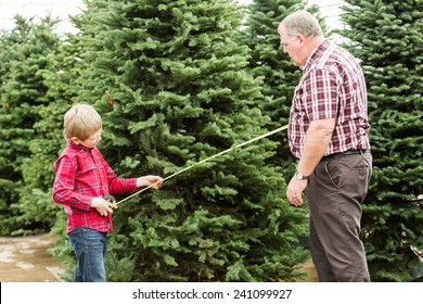 Family Selecting A Tree For Christmas At The Christmas Tree Farm.