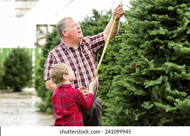 Family Selecting A Tree For Christmas At The Christmas Tree Farm.