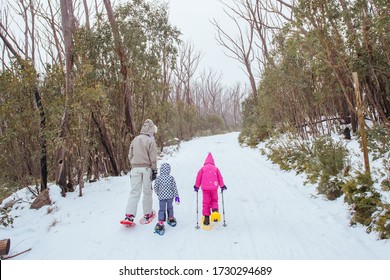 A Family Snowshoes Together At Lake Mountain In Victoria, Australia