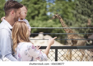 Family Spending Day At The Zoo 