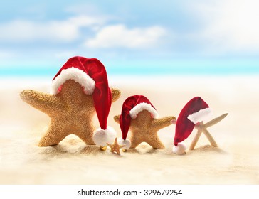 Family Of Starfish On Summer Beach And Santa Hat. Merry Christmas