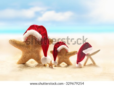 Family of starfish on summer beach and Santa hat. Merry Christmas