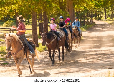 Family Taking A Horseback Riding  Lesson In The Woods In The Rocky Mountains, Colorado, USA, In Summer