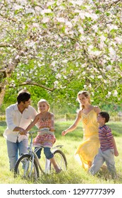 Family Teaching Daughter To Ride Bike Underneath Spring Blossoms