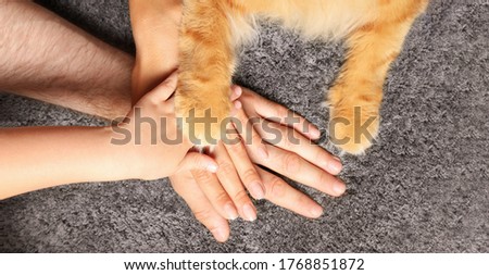 Family and their pet holding hands together on grey carpet, top view. Banner design