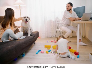 Family Together At Home, Spare Time, Holiday In Living Room, Have A Rest. Kid Girl Play With Toys On The Floor, Woman Petting Their Domestic Dog, While Man Sit Working On Laptop, Work From Home