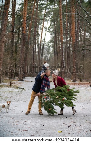 family with a tree in the park