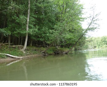 Family Trip Down The Boardman River In Michigan 