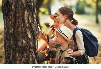 Нарру family: two   kids boy and girl  with backpacks looking examining tree bark through magnifying glass while exploring forest nature and environment   during outdoor ecology school lesson - Powered by Shutterstock