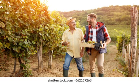 Family in vineyard celebrating harvesting grapes- father and son
 - Powered by Shutterstock