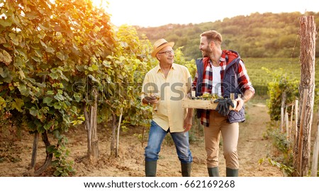Family in vineyard celebrating harvesting grapes- father and son