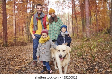 Family Walk In The Forest 