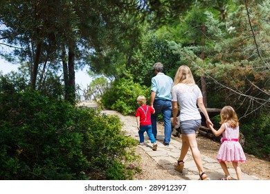 Family walking in the forest at summer time
