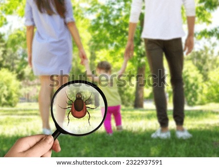 Family walking outdoors and don't even suspect about hidden danger in green grass. Woman showing tick with magnifying glass, selective focus