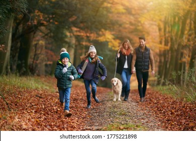 Family Walking With Pet Golden Retriever Dog Along Autumn Woodland Path Together