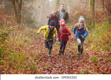 Family Walking Through Winter Woodland