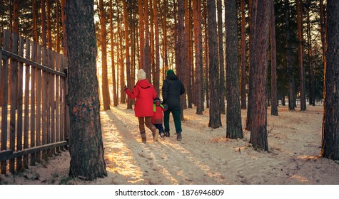 Family Walking In Winter Forest At Sunset