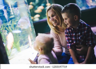 Family Watchig Fishes At A Aquarium