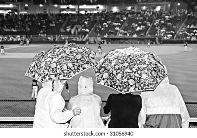 Family Watching Baseball Game Under Umbrella During Rain