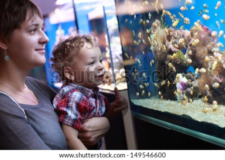 Family is watching the fishes in aquarium