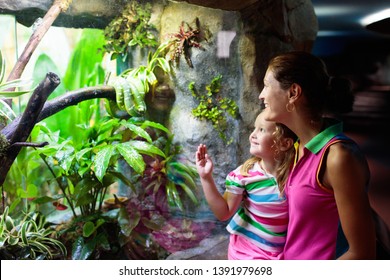 Family Watching Snake In Zoo Terrarium. Mother And Child Watch Snakes In Tropical Safari Park On Summer Vacation In Singapore. Kids Observe Animals. Mom And Little Girl Look At Reptiles Behind Glass.