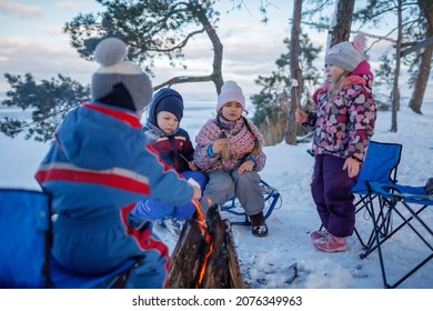 Family Winter Picnic. Happy Friends Sit Around Campfire On The Shore Of Frozen Lake In Forest And Fry Marshmallows During A Winter Trip At Weekend