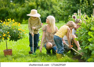 Family working in garden in the spring Stock Photo