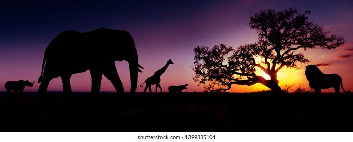 Famous african animals sunset silhouettes. Travel, wildlife and environment concept. - Powered by Shutterstock