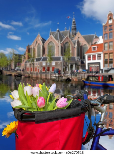 Famous Amsterdam with basket of colorful tulips\
against canal in Holland