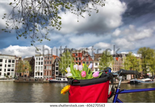 Famous Amsterdam with basket of colorful tulips
against canal in Holland