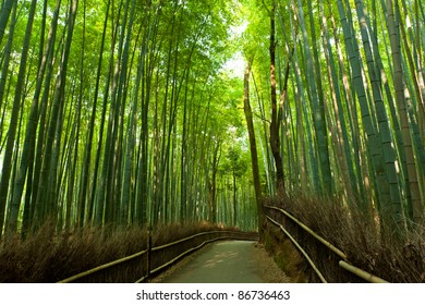 Famous bamboo grove at Arashiyama, Kyoto - Japan - Powered by Shutterstock