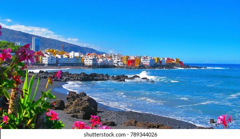 Imagenes Fotos De Stock Y Vectores Sobre Cocodrilo Playa